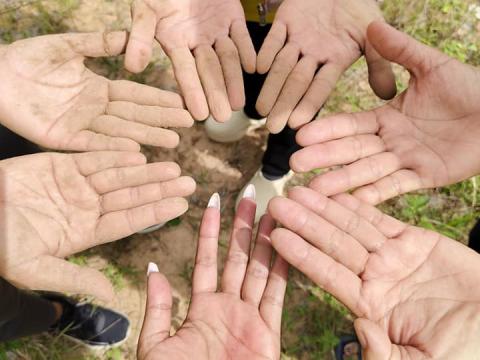 โครงการปลูกป่าเฉลิมพระเกียรติ