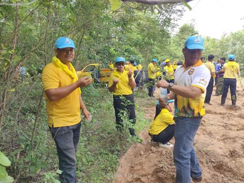 โครงการปลูกป่าเฉลิมพระเกียรติ