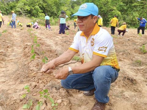 โครงการปลูกป่าเฉลิมพระเกียรติ