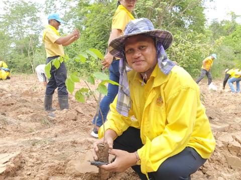 โครงการปลูกป่าเฉลิมพระเกียรติ