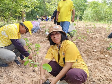 โครงการปลูกป่าเฉลิมพระเกียรติ