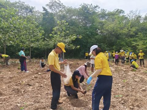 โครงการปลูกป่าเฉลิมพระเกียรติ