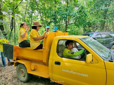 โครงการปลูกป่าเฉลิมพระเกียรติ