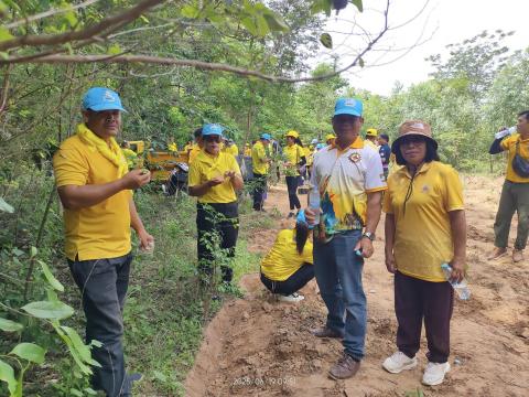 โครงการปลูกป่าเฉลิมพระเกียรติ