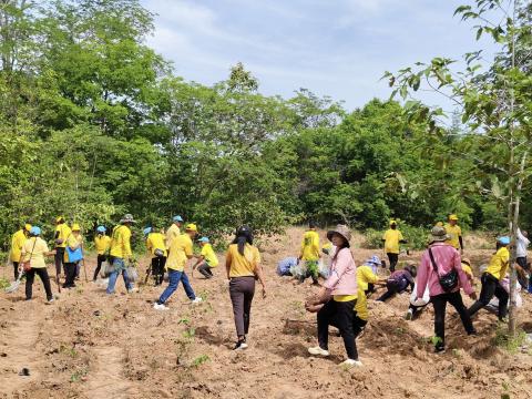 โครงการปลูกป่าเฉลิมพระเกียรติ