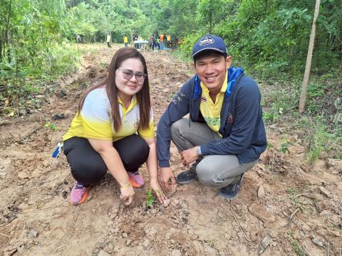 โครงการปลูกป่าเฉลิมพระเกียรติ