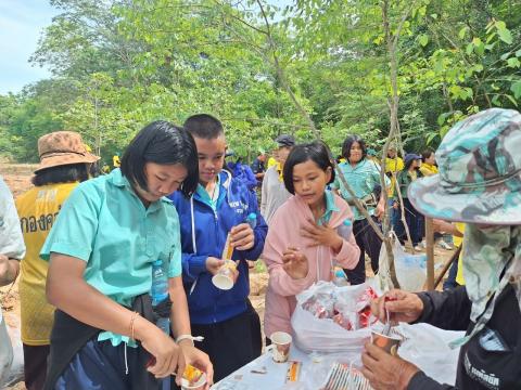 โครงการปลูกป่าเฉลิมพระเกียรติ