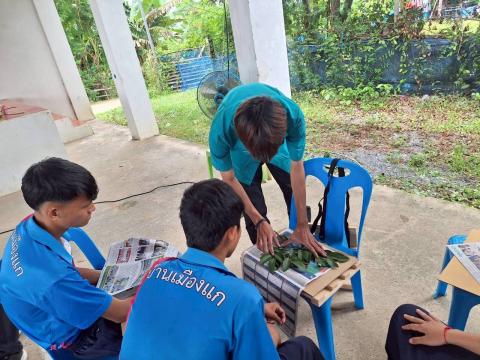 โครงการอนุรักษ์พันธุกรรมพืชเนื่องมาจากพระราชดำริฯ