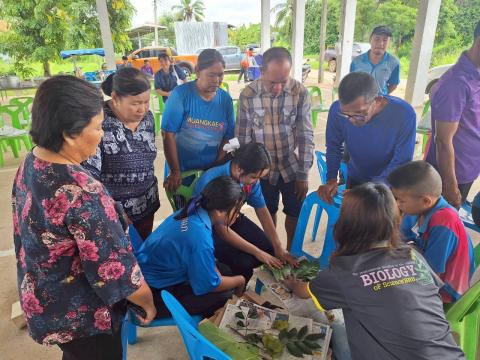 โครงการอนุรักษ์พันธุกรรมพืชเนื่องมาจากพระราชดำริฯ